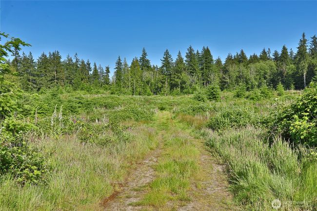 2062 Goodell Rd, Home with 0 bedrooms, 0 bathrooms and null parking in Freeland WA | Image 28