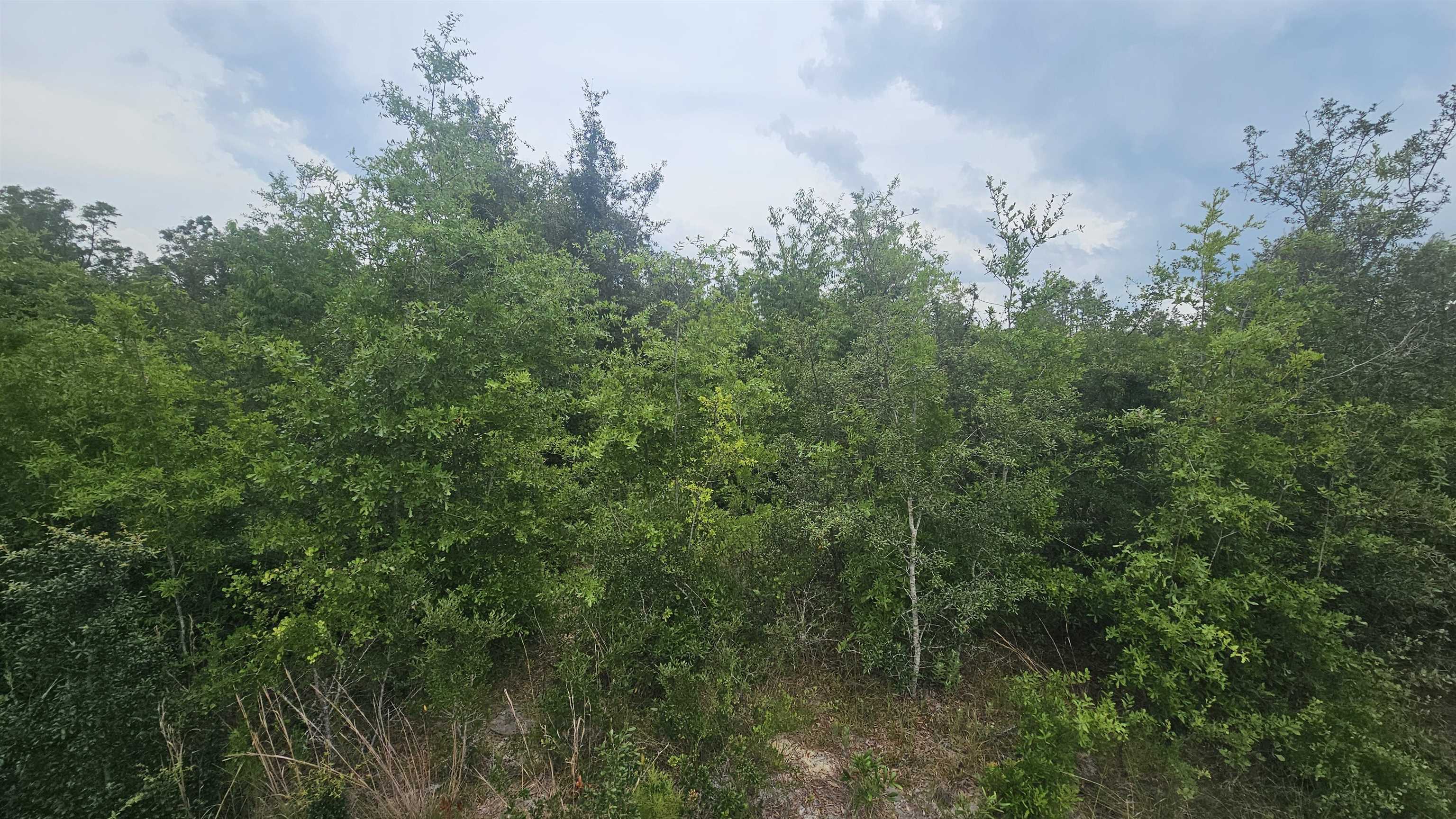 Land in Lee 3