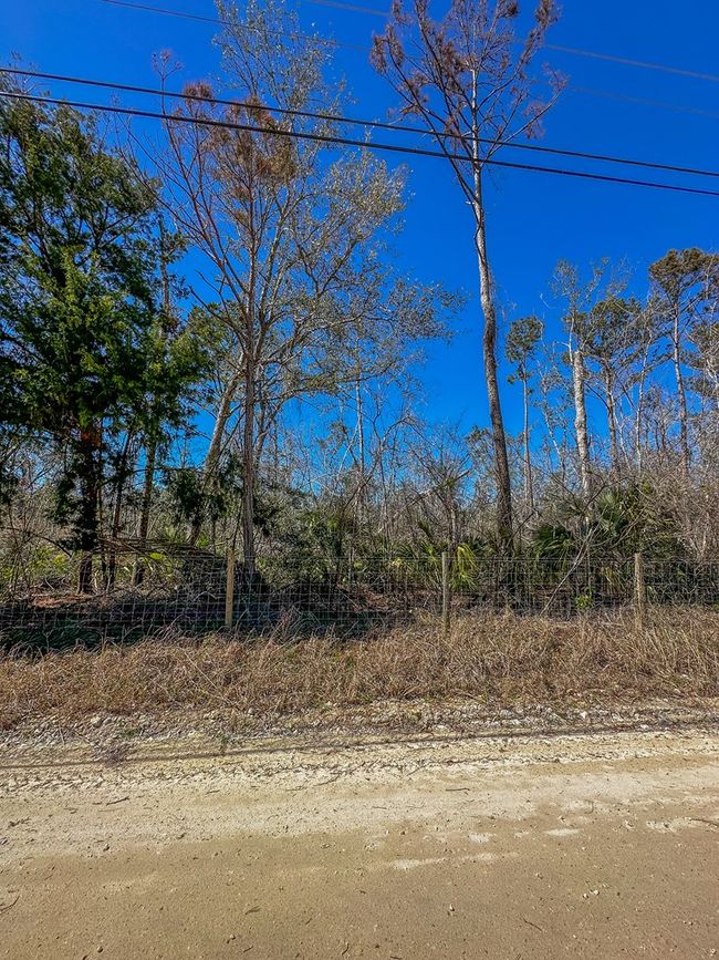 915 Sw 248th Ave, Home with 0 bedrooms, 0 bathrooms and null parking in Steinhatchee FL | Image 8