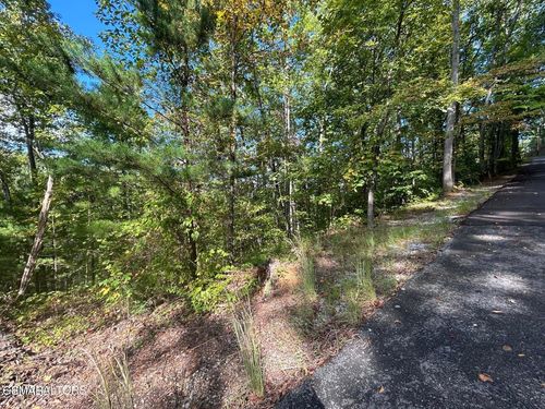 Lot 9 Wildcat Ridge Road, Sevierville, TN, 37862 | Card Image