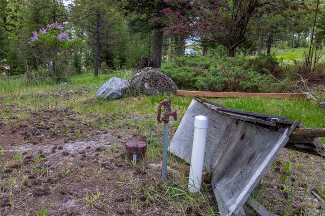 View of yard | Image 110