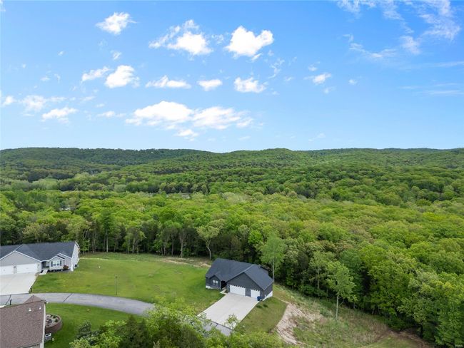 Bird's eye view with a forest view | Image 8