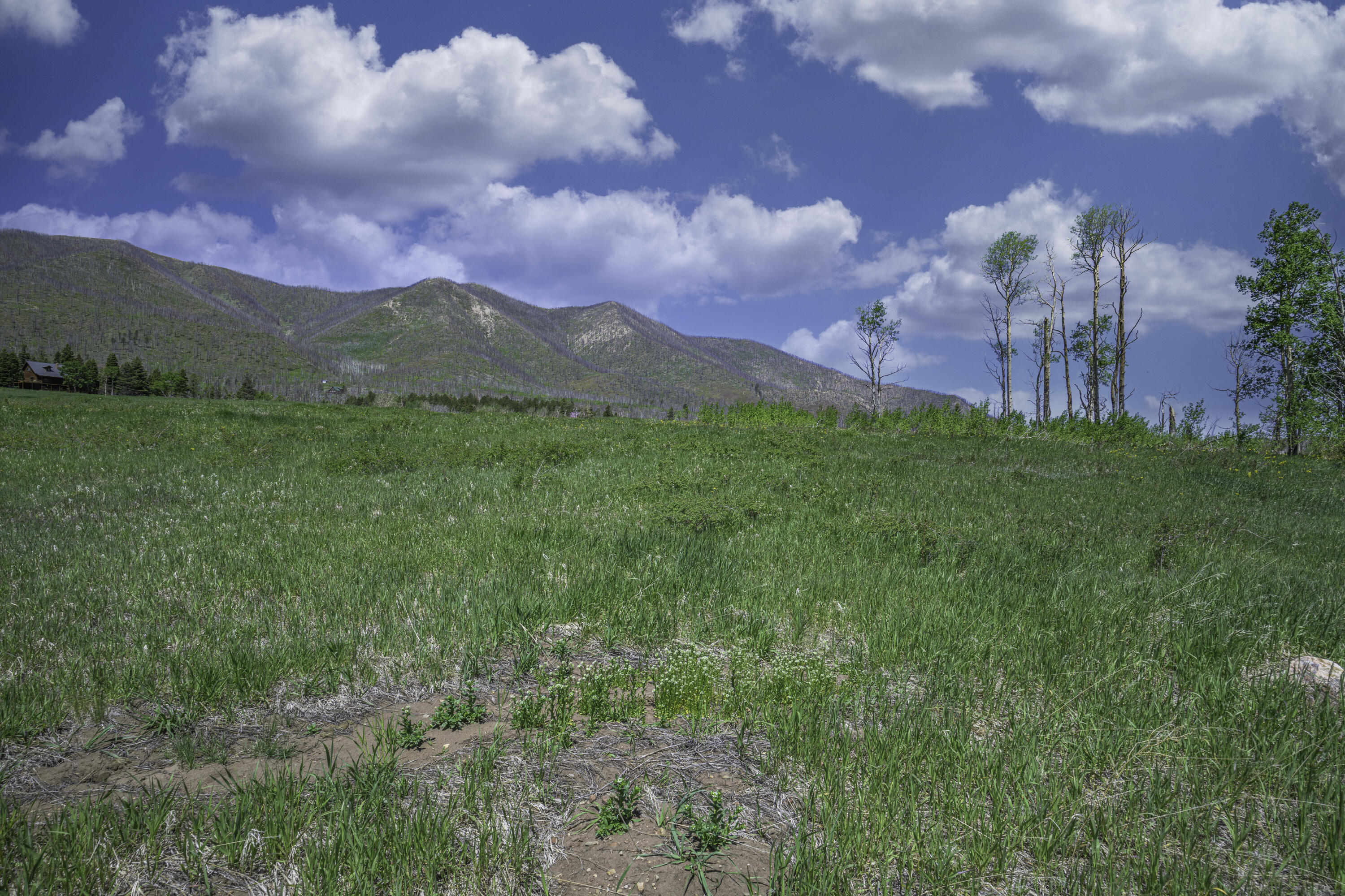 Land in La Veta 3