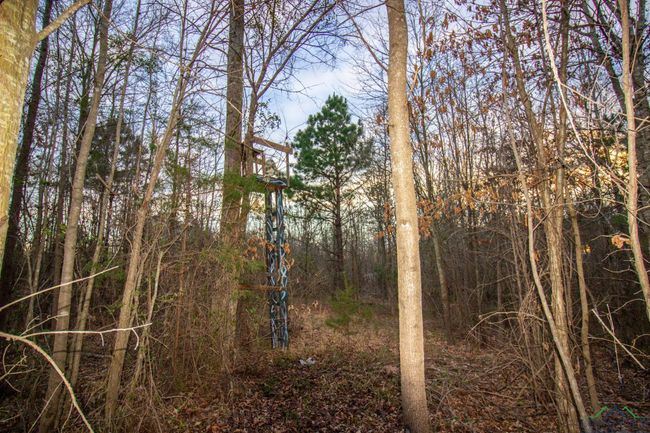 00 Mistletoe Rd, Home with 0 bedrooms, 0 bathrooms and null parking in Gilmer TX | Image 14