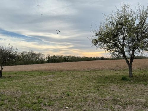 0 County Road 209, Danbury, TX, 77534 | Card Image