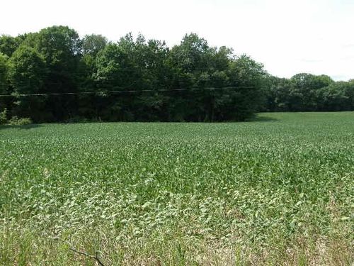 3501 N Bollinger Rd, Vestaburg, MI, 48891-9730 | Card Image