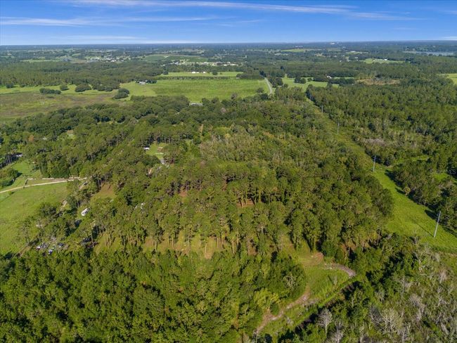 9535 Number Two Rd, Home with 0 bedrooms, 0 bathrooms and null parking in Howey In The Hills FL | Image 11