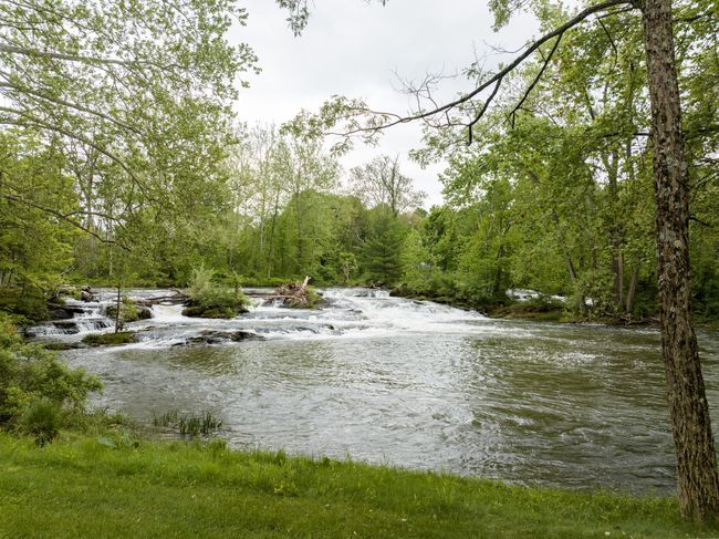 Water view with a forest | Image 35