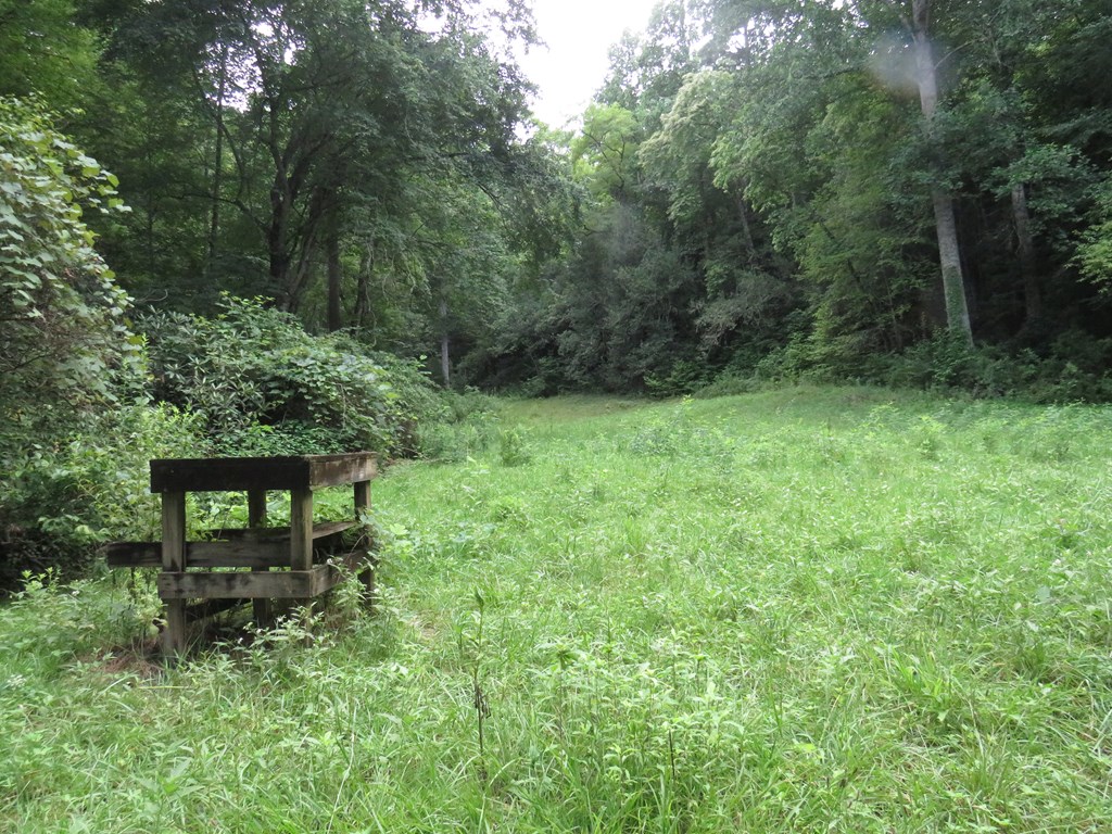 Land in Sylva 4