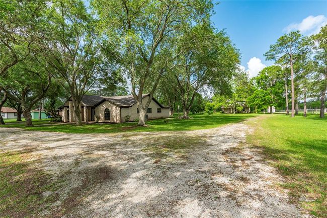 Beautiful mature trees surround the property | Image 5