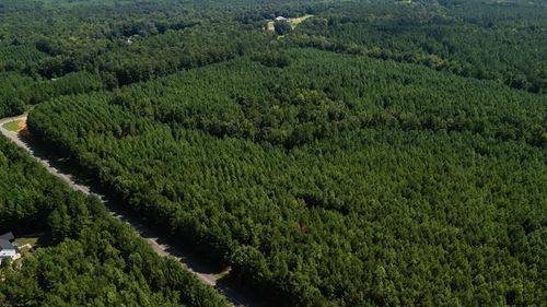 0 Fortune Hole Rd S, Hamilton, GA, 31811 | Card Image