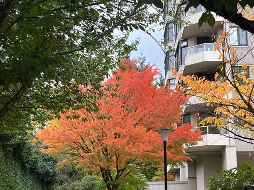 503-7321 Halifax St, Burnaby, BC, V5A4R5 | Card Image