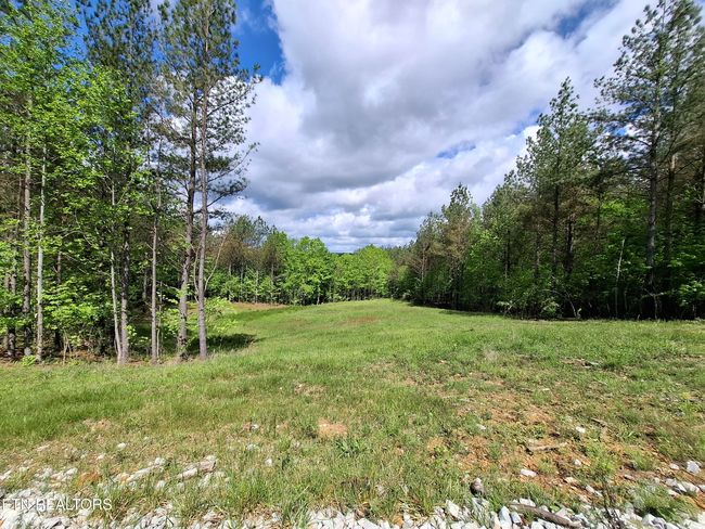 38 Stonecipher Ct, Home with 0 bedrooms, 0 bathrooms and null parking in Sunbright TN | Image 14