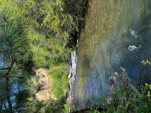  80 Acres Hidden Springs Ln, Whitmore, CA, 96096 | Card Image