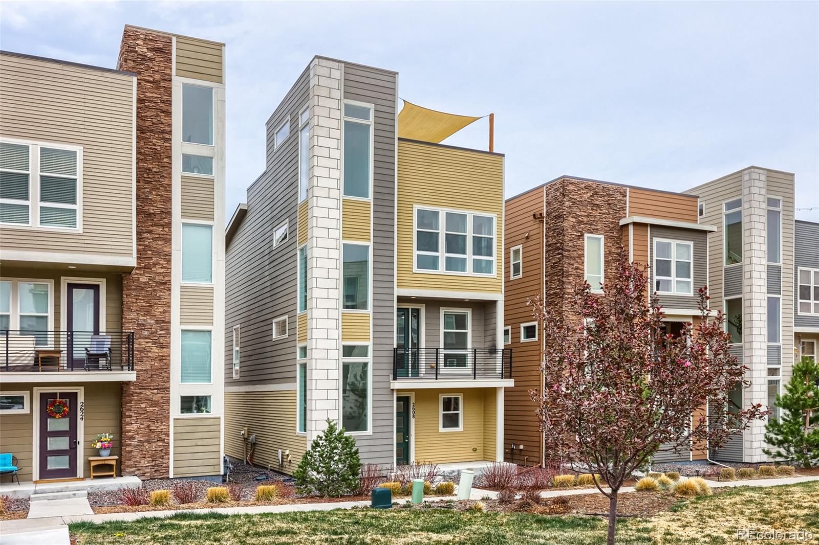 Residential in Castle Rock 2
