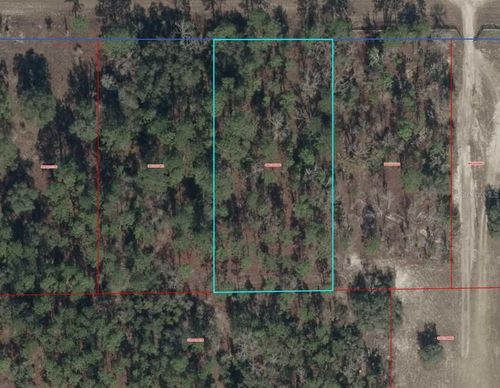 00000 Se 114th Pl, Dunnellon, FL, 34431 | Card Image