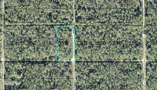 319 Tippin Street, HASTINGS, FL, 32145 | Card Image