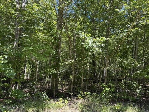 0 Goodson Trl, Monterey, TN, 38574 | Card Image