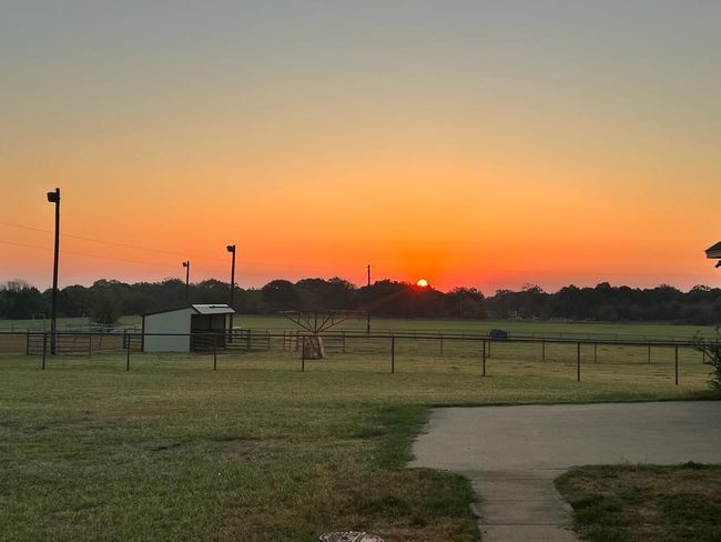 sun rise from the backyard | Image 36