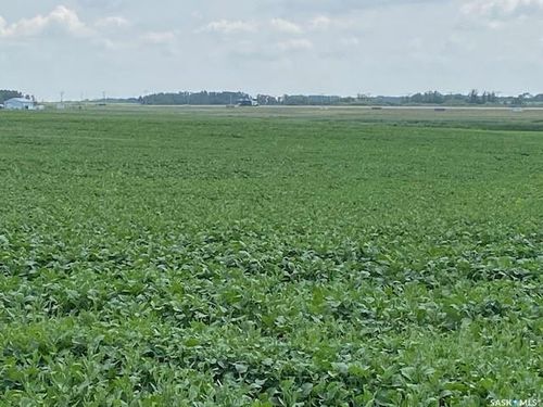 Rural Addr Rural Address, Moosomin Rm No. 121, SK, S0G3N0 | Card Image