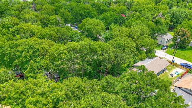 Drone / aerial view of a forest | Image 15