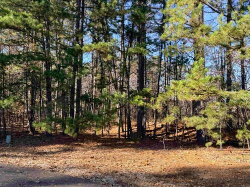 00 Divino Pl, Hot Springs Village, AR, 71909 | Card Image