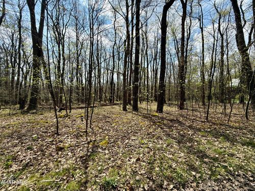 Lot 13 Timerman Road, Claysburg, PA, 16625 | Card Image