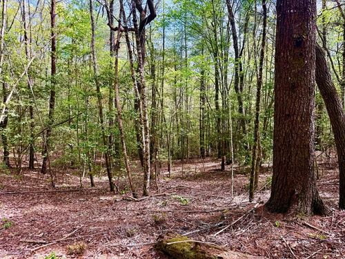 59 Rainy Farm Rd, Murphy, NC, 28906-7895 | Card Image