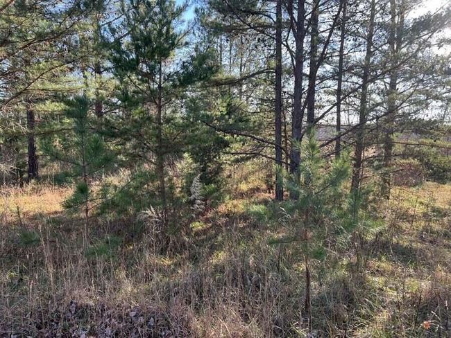 0 Log Cabin Ln, Home with 0 bedrooms, 0 bathrooms and null parking in Dunlap TN | Image 7