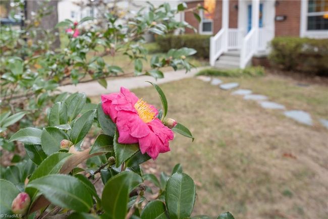 1104 Pamlico Dr, House other with 3 bedrooms, 2 bathrooms and null parking in Greensboro NC | Image 4