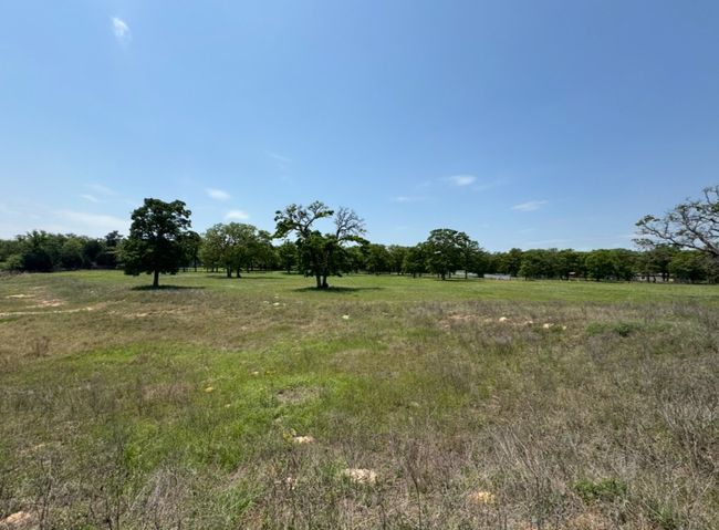 View of nature featuring a rural view | Image 18