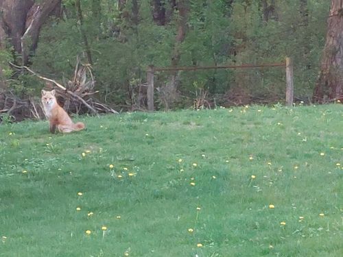 22438 State Highway 30, Hayfield, MN, 55940-8638 | Card Image