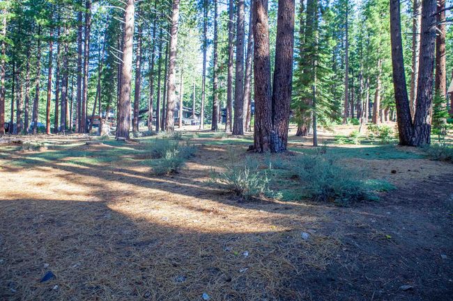 11561 Bottcher Loop, Home with 0 bedrooms, 0 bathrooms and null parking in Truckee CA | Image 11
