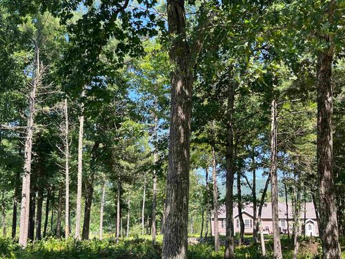 41 Winchester Ln, Melvin Village, NH, 03850-5004 | Card Image