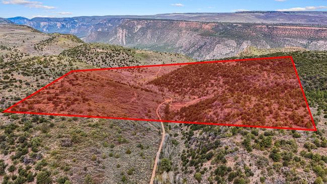 7465 Uncompahgre Divide Rd, Home with 3 bedrooms, 1 bathrooms and null parking in Whitewater CO | Image 37