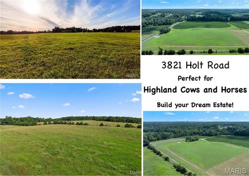 3821 Holt Rd, Wentzville, MO, 63385-6181 | Card Image
