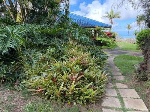 767 Holopunii Rd, Kula, HI, 96790 | Card Image
