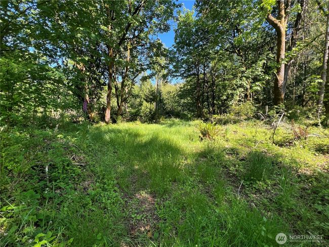 4507 Whiteman Rd Sw, House other with 2 bedrooms, 2 bathrooms and 4 parking in Longbranch WA | Image 36