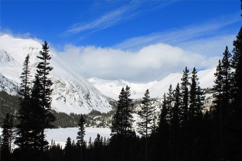 249 Goldfinch Pl, ALMA, CO, 80420-5065 | Card Image