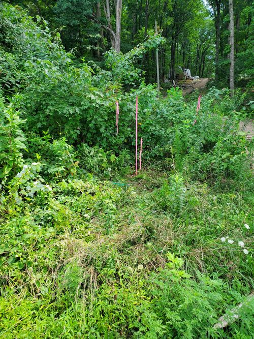 235 County Rd, Niota, TN, 37826 | Card Image