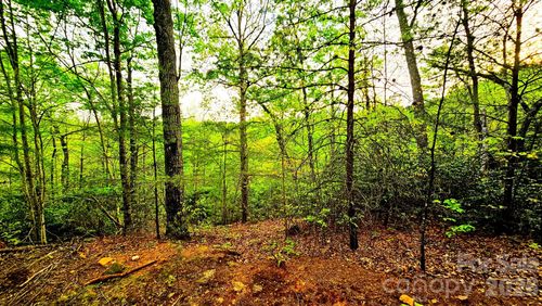Lot 59 Bear Cliff Way, Lake Lure, NC, 28746 | Card Image