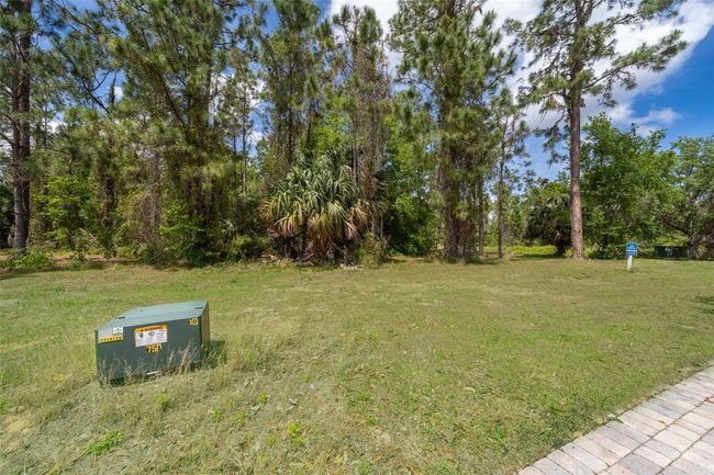 15902 Pendio Dr, Home with 0 bedrooms, 0 bathrooms and null parking in BELLA COLLINA FL | Image 12