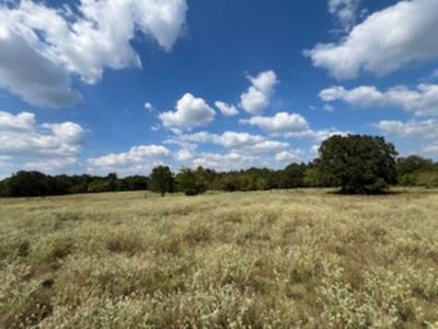 View of nature with a rural view | Image 2