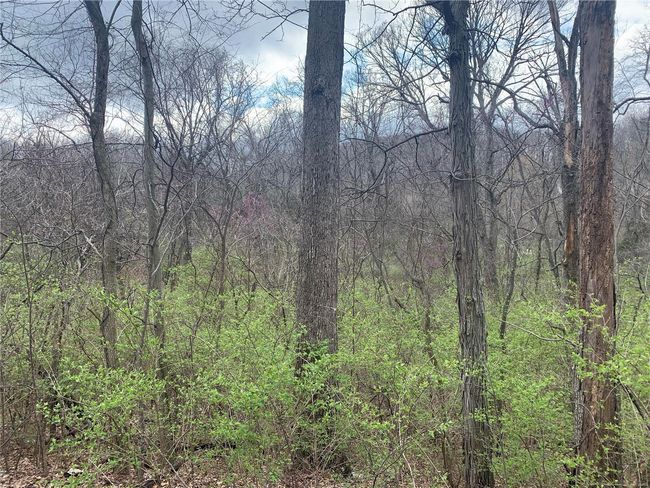 View of nature | Image 7