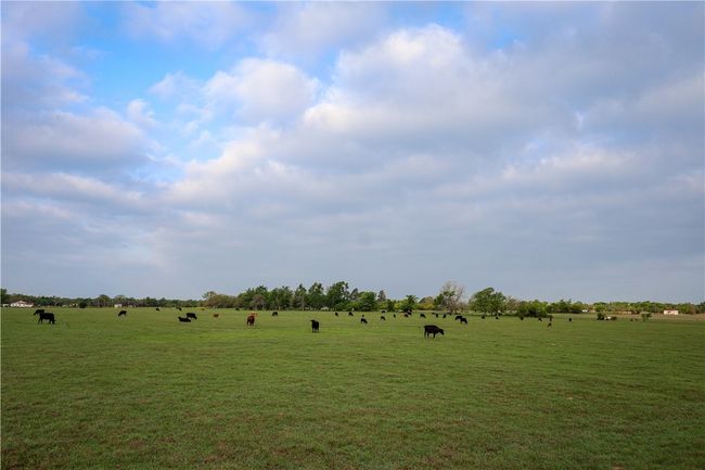 View of landscape with a rural view | Image 7