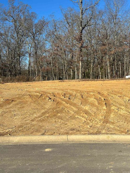 Lot 245 Bighorn Dr, Benton, AR, 72019-6023 | Card Image