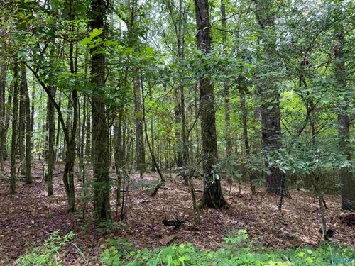Lot 1 Township Road, Rainbow City, AL, 35906 | Card Image