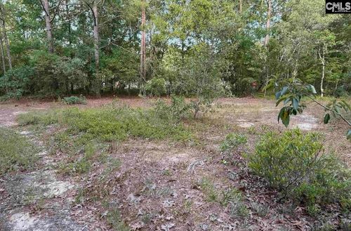 TBD Russell Rowe Rd, Leesville, SC, 29070 | Card Image