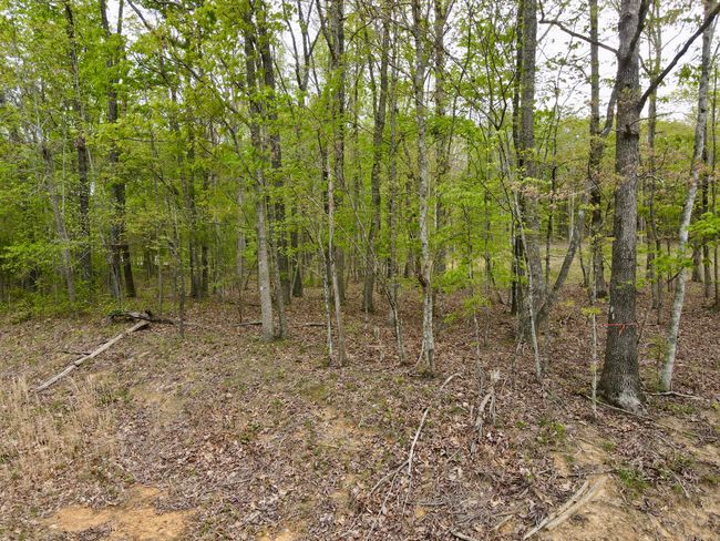 0 Deerwood Dr, Home with 0 bedrooms, 0 bathrooms and null parking in Sewanee TN | Image 14