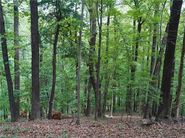 1440 Webb Mountain Rd, Home with 0 bedrooms, 0 bathrooms and null parking in Boones Mill VA | Image 22